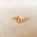 GoldFi 18k Gold Filled Cowrie Shell Ring
