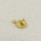 18k Gold Filled Lady Guadalupe Scapular Accessory